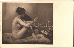 ** T1 Erotic Nude Lady. Phot. Schieberth, Kilophot A. 7. - Sin Clasificación