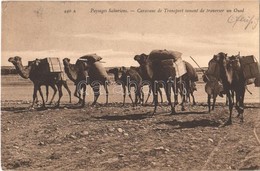 T2/T3 Paysages Sahariens, Caravane De Transport Cenant De Traverser Un Oued / Saharan Landscapes, Camel Caravan, Folklor - Non Classificati