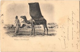 T2/T3 Un Palanquin / Palanquin, Camel, Tunisian Folklore (EK) - Ohne Zuordnung