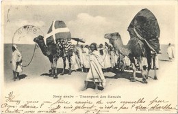 T2 1902 Noce Arabe, Transport Des Fiancés / Arab Wedding, Transport Of The Bride And Groom, Camels, Tunisian Folklore - Ohne Zuordnung