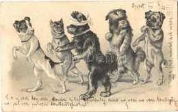 T2 1901 Dogs Playing. Emb. Litho - Non Classés