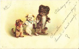 T2/T3 1900 Dogs Playing. Litho (EK) - Ohne Zuordnung