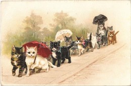 * T2/T3 Cats With Umbrellas. A. & M. B. No. 108. Litho (EK) - Ohne Zuordnung