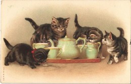 * T2 Cats With Cups. A. & M. B. No. 53. Litho - Ohne Zuordnung