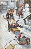 * T2/T3 Cats Sledding In Winter. T.S.N. Serie 1194. (6 Dess) S: Arthur Thiele (worn Corners) - Ohne Zuordnung