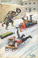 * T2/T3 Cats Sledding In Winter. T.S.N. Serie 1194. (6 Dess) S: Arthur Thiele (worn Corners) - Ohne Zuordnung