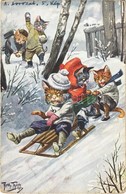 * T2/T3 Cats Sledding In Winter. T.S.N. Serie 1194. (6 Dess) S: Arthur Thiele (worn Corners) - Ohne Zuordnung