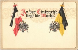 ** T1 In Der Eintracht Liegt Die Macht / Viribus Unitis Propaganda. Flags And Coats Of Arms. Emb. Litho (tiny Pinhole) - Non Classificati