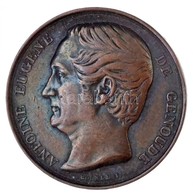 Franciaország 1849. 'Antoine Eugene Genoud' Br Emlékérem. Szign.: Borrel F. (26mm) T:1-,2 Kis Ph.
France 1849. 'Antoine  - Ohne Zuordnung