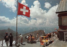 Im Alpstein Schweiz Säntisgipfel - Churfisten - Berghotel Säntis (10 X 15 Cm) - Autres & Non Classés