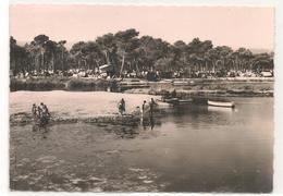 Saint Aygulf - Les Etangs Et Vue Generale Du Camping - CPA° - Saint-Aygulf