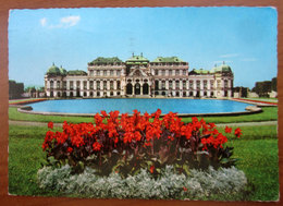 Vien Vienna Belvedere AUSTRIA Cartolina Viaggiata 1965 - Belvedere