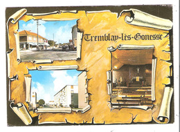 Tremblay Les Gonesse  (93 - Seine Saint Denis ) Multi Vues - Tremblay En France