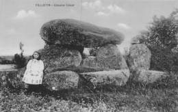 PIE-Z SDV-19-4858 : FELLETIN. CREUSE. CABANE CESAR. - Dolmen & Menhirs