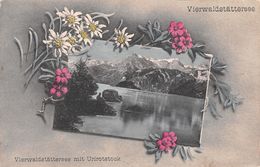 Vierwaldstättersee Mit Urirotstock - Edelweiss - Blumen - Autres & Non Classés