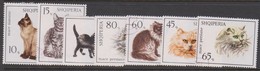 Albania S 1051-53 1966 Cats, Used - Otros & Sin Clasificación