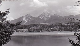 AK Faakersee Mit Mittagskogel (45727) - Faakersee-Orte