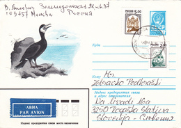 Mixed Franking, SSSR - Russia, Birds, Kormoran - Storia Postale