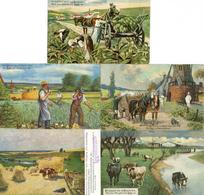 LANDWIRTSCHAFT - KALI - 5 Versch. Werbekarten D. KALISYNDIKATS, Berlin I-II - Ausstellungen