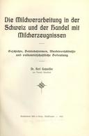 Landwirtschaft Buch Die Milchverarbeitung In Der Schweiz Und Der Handel Mit Milcherzeugnissen Gutzwiller, Karl Dr. 1923  - Exhibitions