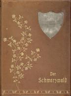 Buch Der Schwarzwald In Wort Und Bild Neumann, Ludwig Prof. Dr. Und Völker, Franz, Prof. 1903 Verlag Julius Weise 226 Se - Sonstige & Ohne Zuordnung