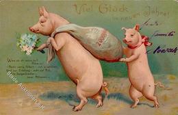 Neujahr Schweine Lithographie / Prägedruck 1904 I-II Cochon Bonne Annee - New Year