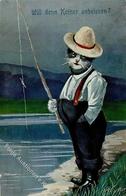 Katze Personifiziert Angler Künstlerkarte 1909 I-II Chat - Other & Unclassified