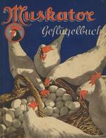 Geflügel Buch Muskatore Hrsg.Bergisches Kraftfutterwerk 1935 Verlag L. Schwamm 128 Seiten Sehr Viele Abbildungen II - Andere & Zonder Classificatie