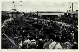 ERFURT WK II - 1.REICHSNÄHRSTANDS-AUSSTELLUNG 1934 - Rindersammelring + Dorfkino I - Weltkrieg 1939-45