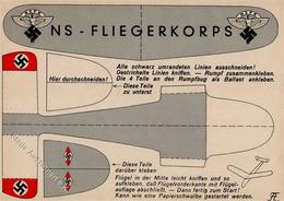 NS-FLIEGERKORPS WK II - NSFK-FLIEGER-HJ-Einheit - NSFK-STURM Prop-Ak In GRAU I - Oorlog 1939-45