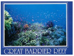 (44) Australia Postcard - (with Stamp) - QLD - Great Bartrier Reef (fish) - Great Barrier Reef