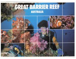 (44) Australia Postcard - (with Possum Stamp) - QLD - Great Barrier Reef Scuba Diver - Great Barrier Reef