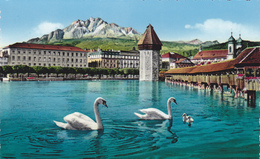 SUISSE,SWITZERLAND,SVIZZERA,HELVETIA,SWISS,SCHWEIZ ,LUCERNE,LUZERN - Lucerne