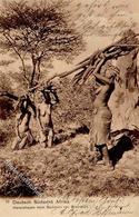 Kolonien DSW - Hererofrauen Beim Sammeln Von Brennholz - O Swakopmund 1907 I Colonies - Unclassified