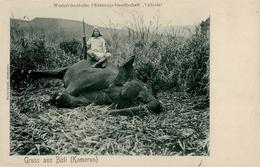 Kamerun Bali Elefantenjagd I-II - Ohne Zuordnung