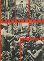 Buch Kolonien Deutschland Ohne Kolonien Hrsg. Reichskolonialbund 1936 Verlag Dr. Hans Riegler Sehr Viele Abbildungen Und - Ohne Zuordnung