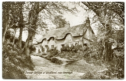 DORESET COTTAGE AT STUDLAND, NEAR SWANAGE - Swanage