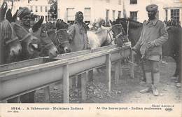 Thème    Guerre 14/18        Indiens Muletiers A L'abreuvoir      (voir Scan) - Guerre 1914-18