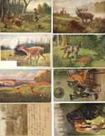 Jagd Waldtiere Partie Mit Circa 120 Ansichtskarten I-II Chasse - Other & Unclassified