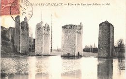 Carte POSTALE  Ancienne De  LUSSAC Les CHÂTEAUX - Lussac Les Chateaux