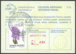 ARGENTINA: IRC Of The Year 1989 With Value Of 400P. + A10 Franking (camalote Flower), Rare Combination Of DIFFERENT CURR - Sonstige & Ohne Zuordnung