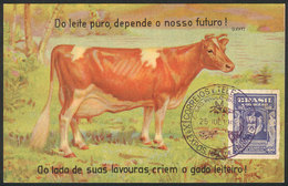 BRAZIL: PC Advertising The Production Of DAIRY CATTLE, Cow, Artist Signed H.Hiver, With Special Postmark Of The Expo Of  - Autres & Non Classés