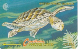 TARJETA DE BRITISH VIRGIN ISLANDS DE UNA TORTUGA (TURTLE) 20CBVB - Isole Vergini