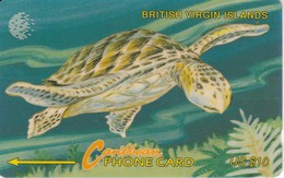 TARJETA DE BRITISH VIRGIN ISLANDS DE UNA TORTUGA (TURTLE) 21CBVC - Virgin Islands