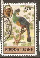 Sierra Leone  1980  SG  630b Blue Plantain Eater Fine Used - Coucous, Touracos