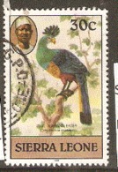 Sierra Leone  1980  SG  630b Blue Plantain Eater Fine Used - Cuckoos & Turacos