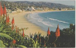 Laguna Beach CA California 1976 Postcard Flowers - Long Beach