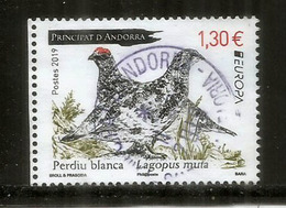 ANDORRA.  La Perdrix Des Neiges.(perdiz Nival) Europa 2019 ,   Oblitéré, 1 ère Qualité, Haute Faciale - Perdiz Pardilla & Colín