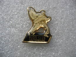 Pin's Du Judo Club De La Ville De LAUTERBOURG - Judo