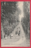 Geraarsbergen / Grammont - L'Escalier De La Montagne ... Geanimeerd - 1909 ( Verso Zien ) - Geraardsbergen